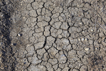 texture cracked earth