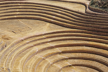 Fototapeta na wymiar Moray Agricultural Terraces of the Incas