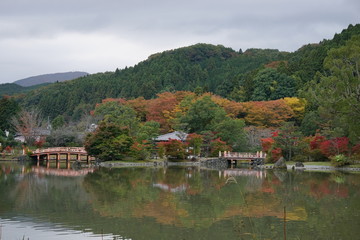 Fototapeta premium 秋の庭園
