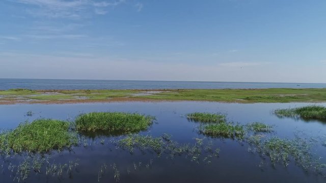 marshy shores of Zaisan Lake, East Kazakhstan.