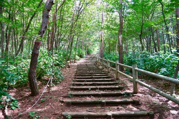中尊寺から毛越寺の散策路