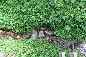 中尊寺から毛越寺の散策路