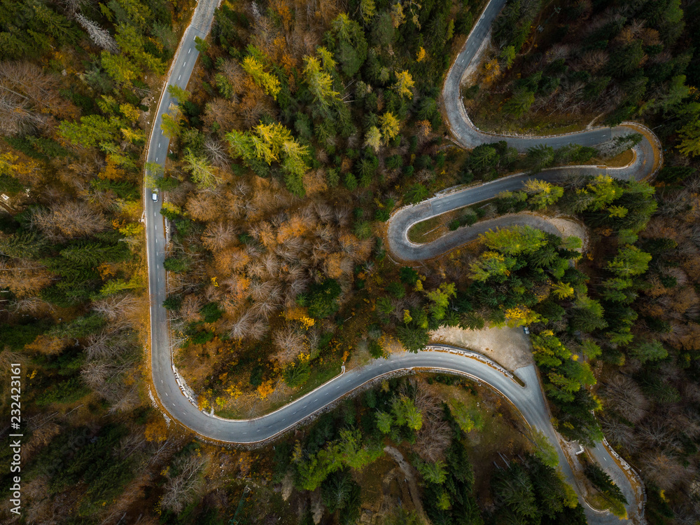 Poster Winding road in mountains, fall woodlands, drone view from above - Posters