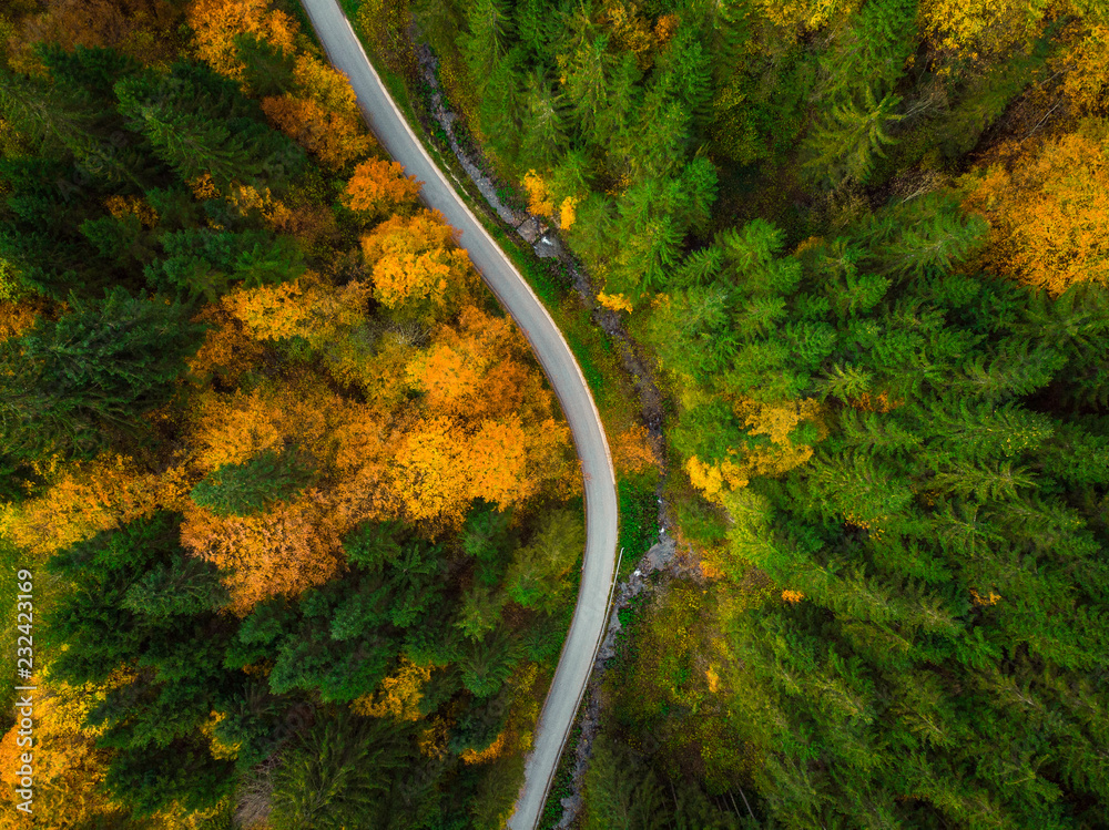 Wall mural top down drone view on winding road trough autumn forest - Wall murals
