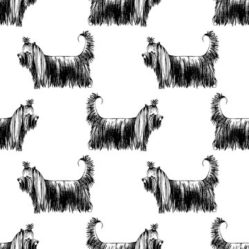 Seamless pattern with hand drawn Yorkshire Terriers