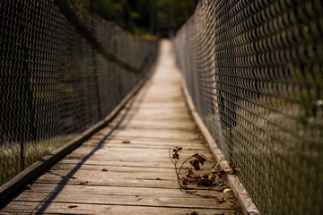 Suspension bridge over the river, lined with wooden boards, mesh railings. The narrow bridge goes into the distance