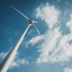windmill