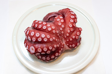 タコまるごと一杯
