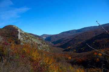Autumn mountain forest landscape in sunny weather. Trees with yellow-red and orange leaves on a high hill in autumn. Crimson autumn landscape. Forest on the hills. 