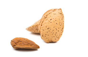 inshell almond isolated