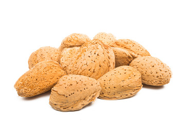 inshell almond isolated