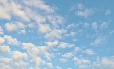 空　秋　とちぎ