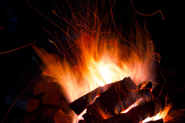 Fototapeta premium A bonfire burns at night during a picnic in the forest. Bright, orange and yellow fire in the fire. Languages ​​of the tribe in the fire in nature. 