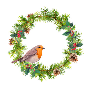 Christmas wreath, robin bird. Christmas watercolor illustration