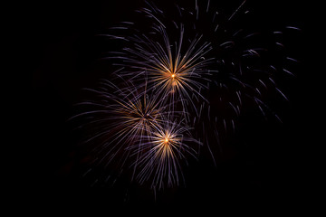 Fototapeta premium fireworks in the night sky