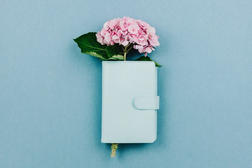 Flatlay of pink hortensia flower and  blue notebook or planner on pastel background