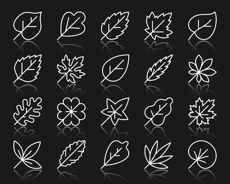 Organic Leaf simple white line icons vector set