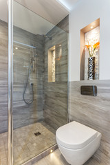 Modern bathroom shower room with toilet and amenities.