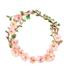Spring composition, wreath, painted with watercolor, of delicate pink flowers, green leaves and branches, Sakura, cherry blossom, almond flowers isolated on a white background,