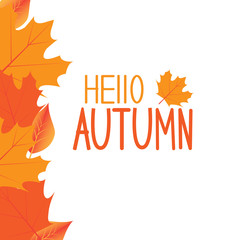 Hello autumn