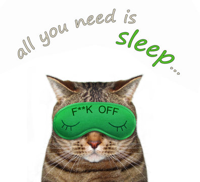 The Cute Cat Wears A Sleeping Mask. All You Need Is Sleep. White Background.