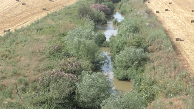 The Biblical Kishon stream and HaAmakim park in northern Israel, where the prophets of Baal and Canaanite army were executed on Elijah's orders.
