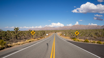 Straight road between signs