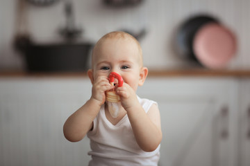 Baby first teeth gnaws fruit in safe device, food