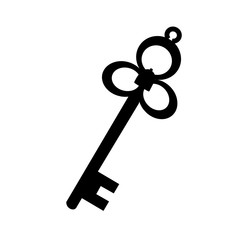 vector, on a white background, black silhouette of a key