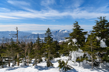 西大巓から見た磐梯山