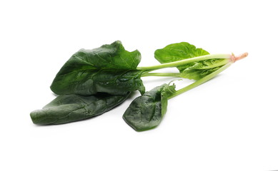Fresh spinach leaves isolated on white background