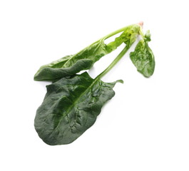 Fresh spinach leaves isolated on white background