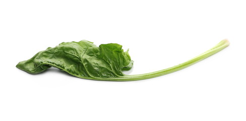 Fresh spinach leaf isolated on white background