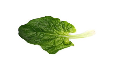 Fresh spinach leaf isolated on white background, top view