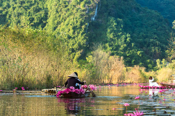 Yen stream, with traditional boat on the way to Huong ancient pagoda. Blossoming water lily on the river. Vietnam beautiful landscape