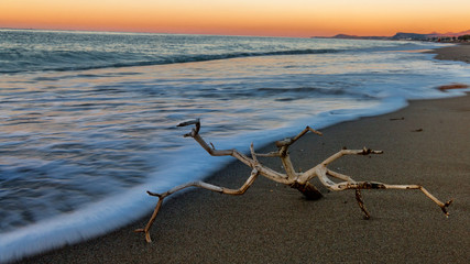 Strandgut bei Dämmerung