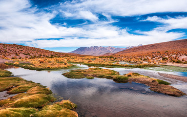 Fototapeta na wymiar Lagoon landscape in Bolivia