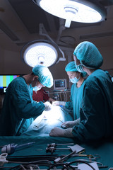 group of veterinarian surgery in operation room for laparoscopic