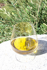 Glass of extra virgin olive oil on an old white mill stone with olive trees on background