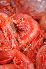Fresh red shrimps or scarlet shrimps in a fish market, close up