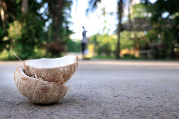 Coconut broken and half shred on the ground. Blurred  background with a man   is harvesting