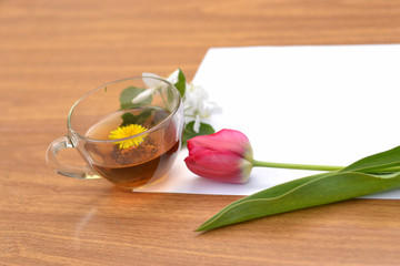 A clean sheet of paper on a wooden surface, a Cup of tea and a red beautiful Tulip.