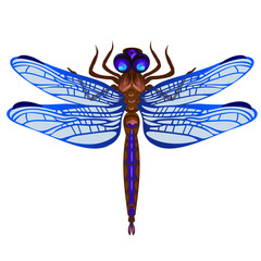 Vector dragonfly on a white background