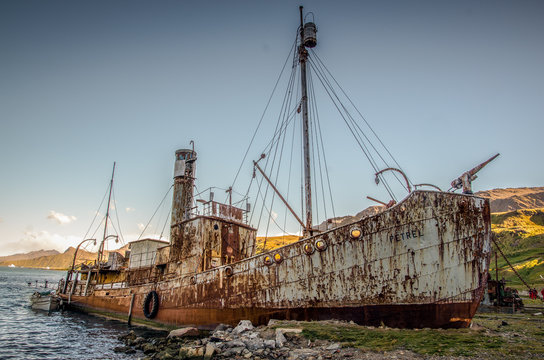 Abandoned whale catcher at Grytviken, South Georgia Island