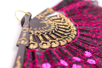 Traditional Ethnic Fan