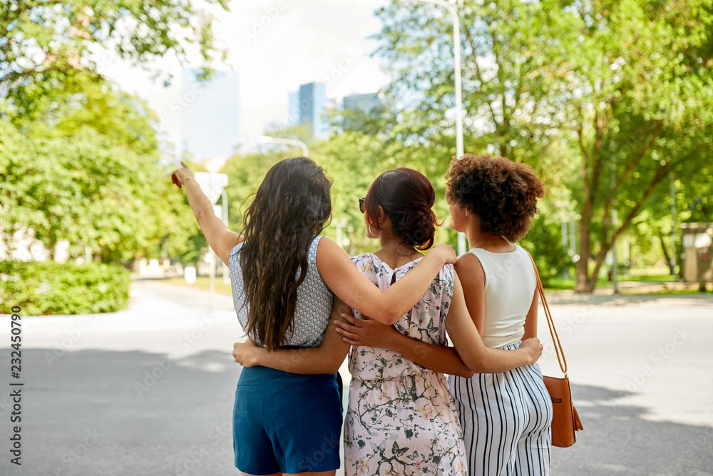 Wall mural female friendship, people and leisure - young women or friends hugging at summer park