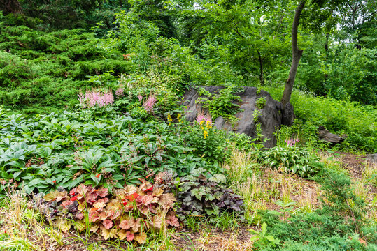 Strawberry Fields Garden In Central Park, NYC