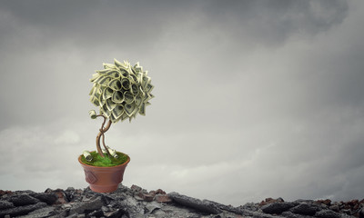 Make your income grow. Mixed media