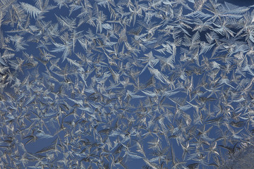 winter drawing on glass