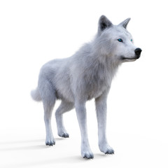 Digital 3D Illustration of a Wolf